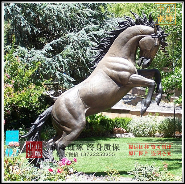 1-21032214452Ca.jpg